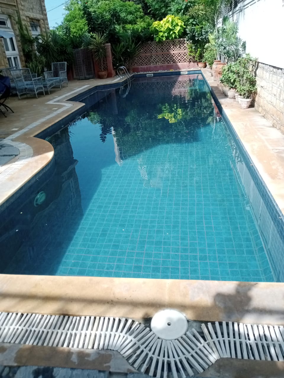 Lush residential garden pool